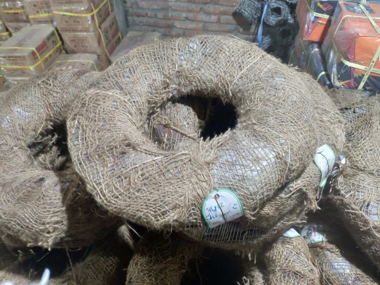 Bendrat putra surya perdana 2